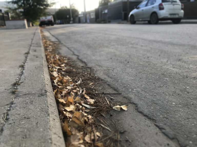 Rada Tilly: piden un plan de limpieza de cordones cuneta