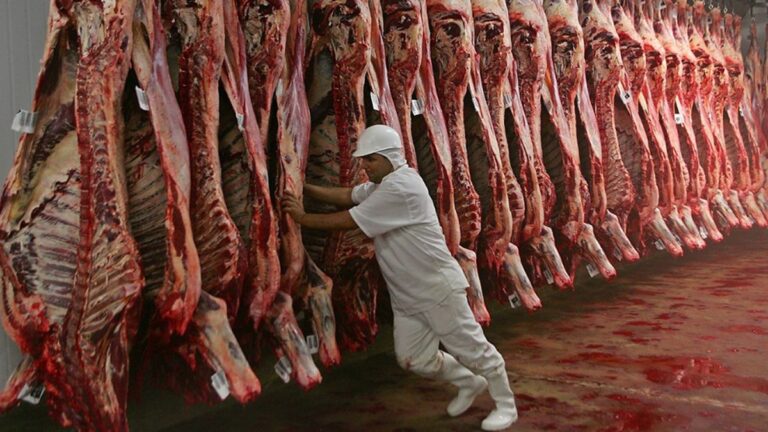 Inició el paro del campo, reclaman el cierre de las exportaciones de carne