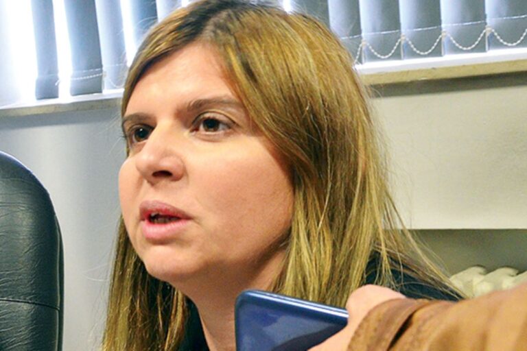 «La situación de encierro mantuvo los delitos intrafamiliares, entre ellos los de género»