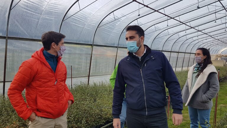 Chubut avanza en el proyecto de Ley de producción de cannabis de uso medicinal y terapéutico