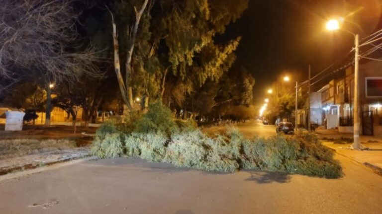 Defensa Civil realizó más de 75 intervenciones por el temporal de viento