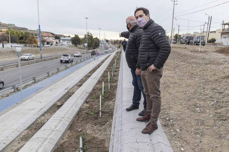 Continúa el plan de forestación en km 3
