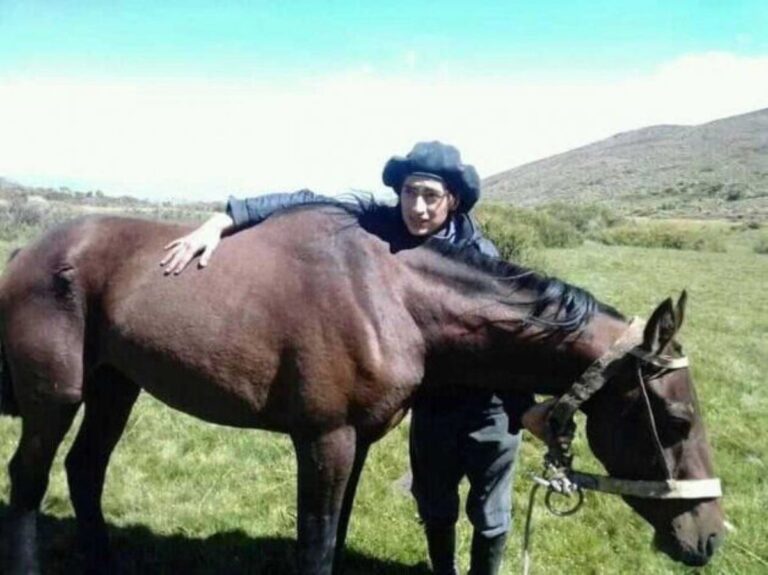 Entraron a una estancia y mataron a un caballo para comer su carne