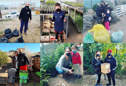 Residuos: «Separá orgánicos, aprendé a compostar y ganá un plantín»