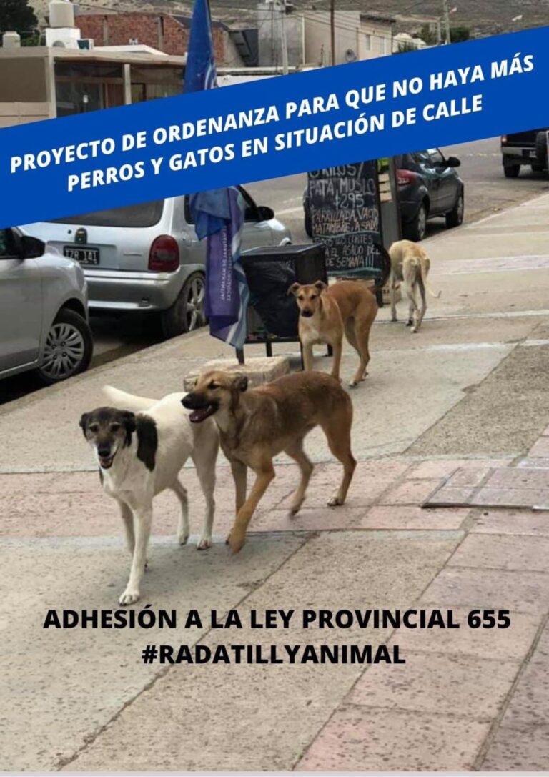 Rada Tilly pide prohibir la eutanasia de perros y gatos