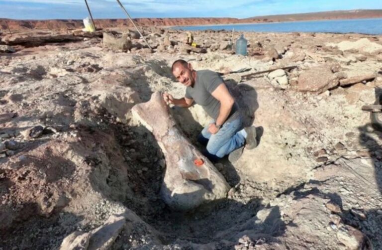 Encontraron restos de un dinosaurio gigante en un lago de Neuquén
