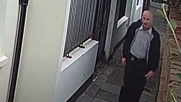 Inglaterra: Condenaron a asesino serial de gatos a cinco años de prisión