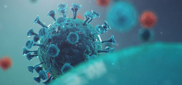 Coronavirus Argentina: 93 fallecidos y 1.538 nuevos casos