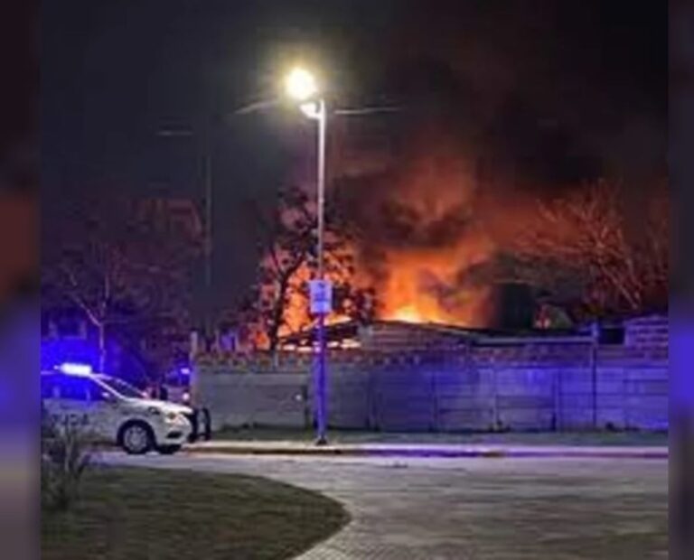 Incendian refugio de animales y mueren 40 gatos