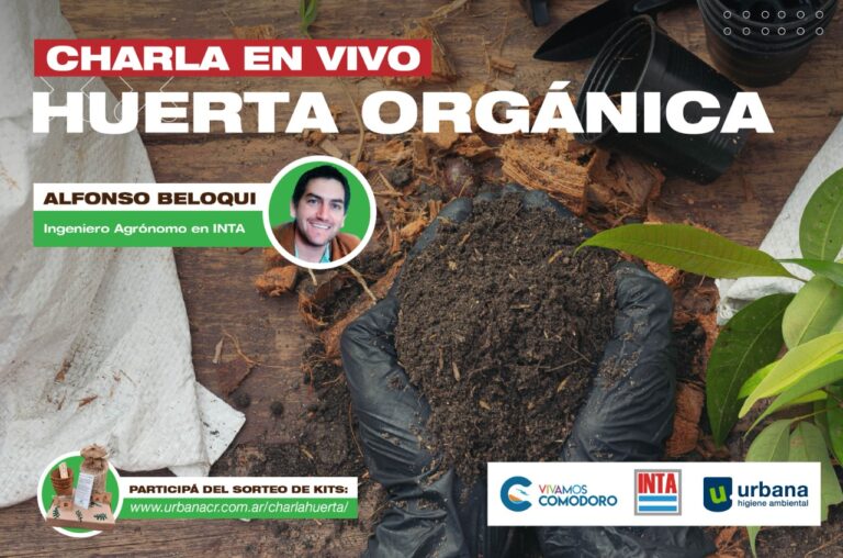 Taller online: qué residuos podés utilizar para armar una huerta en casa