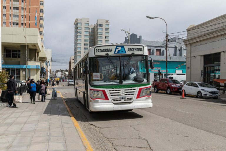 PASO 2021: El transporte público será gratuito este domingo