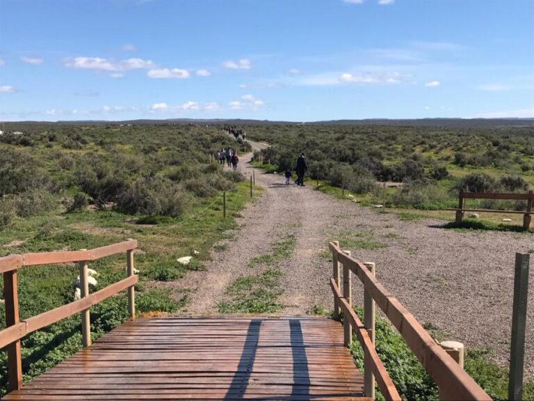 Se inauguró la temporada en Punta Tombo