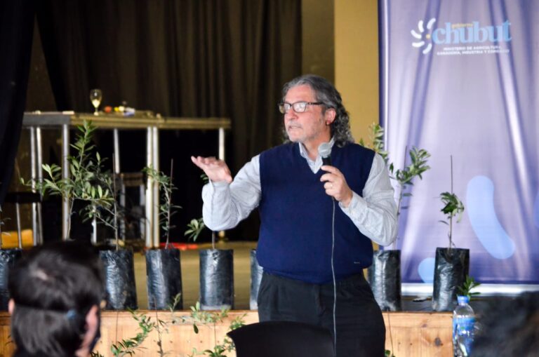 El Gobierno del Chubut busca poner en valor la producción de olivo para su futura exportación