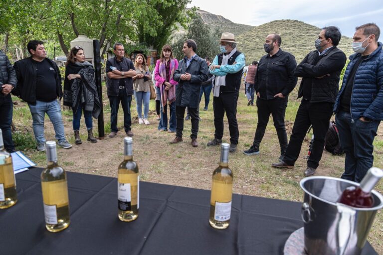 Comodoro con potencial para convertirse en productor de vinos