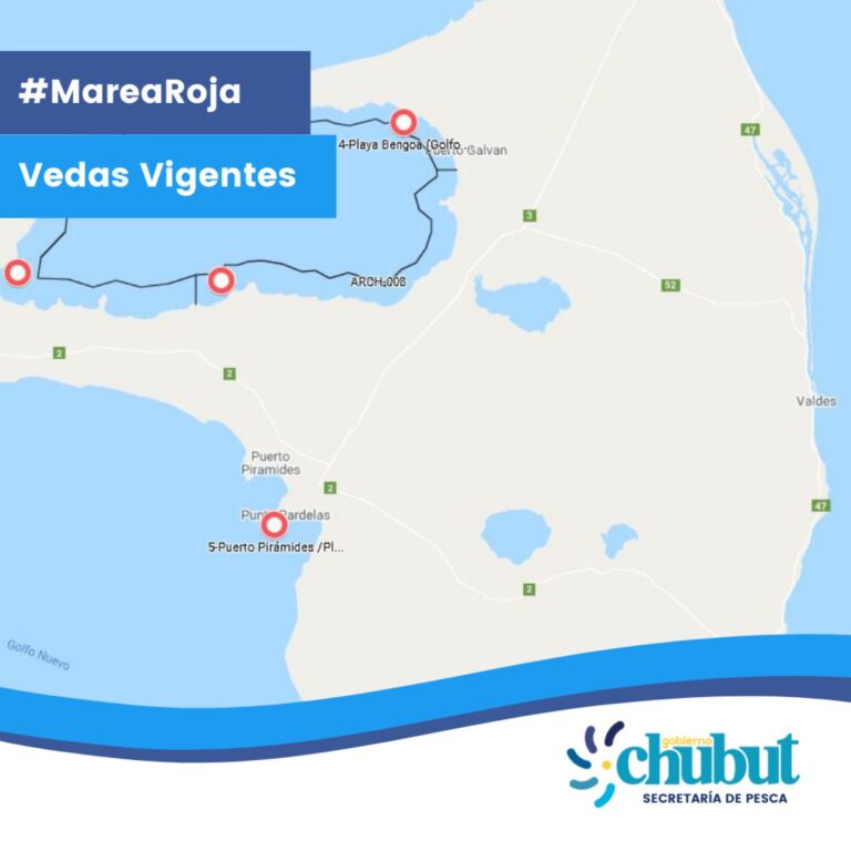 Nueva veda para la extracción de moluscos en Punta Pardela