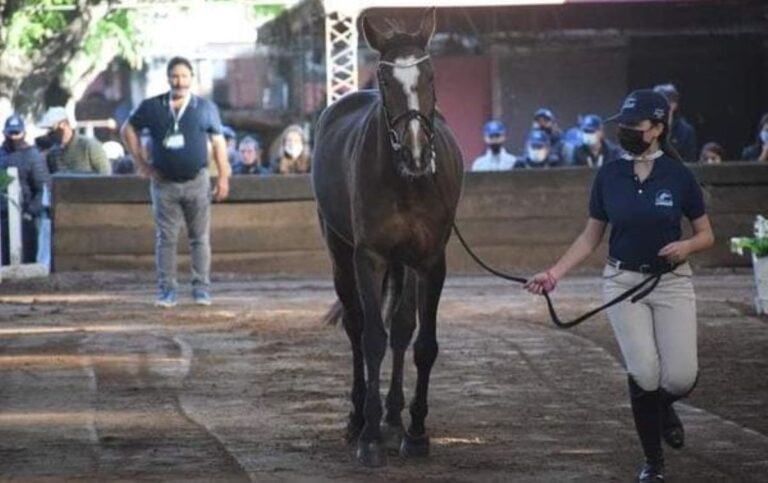 Inicia el campeonato Jóvenes Promesas 2021
