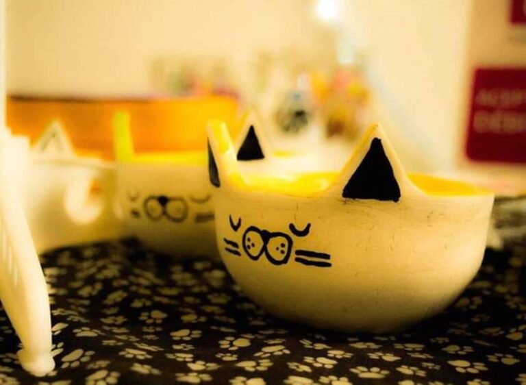Comodoro: Este fin de semana se realizará el Festival de Diseño