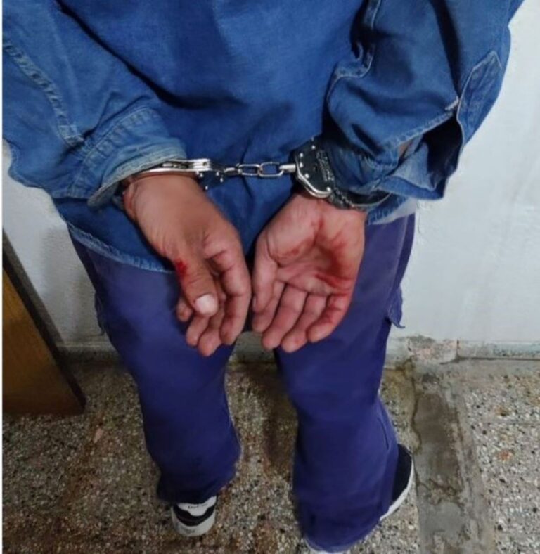 Horror en Trelew: un hombre asesinó a puñaladas a su madre