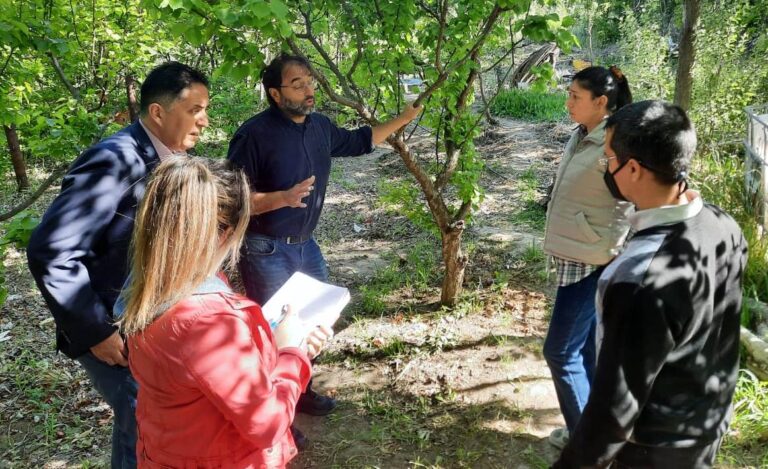 Comodoro: gestionan un proyecto para fortalecer el suelo con residuos orgánicos
