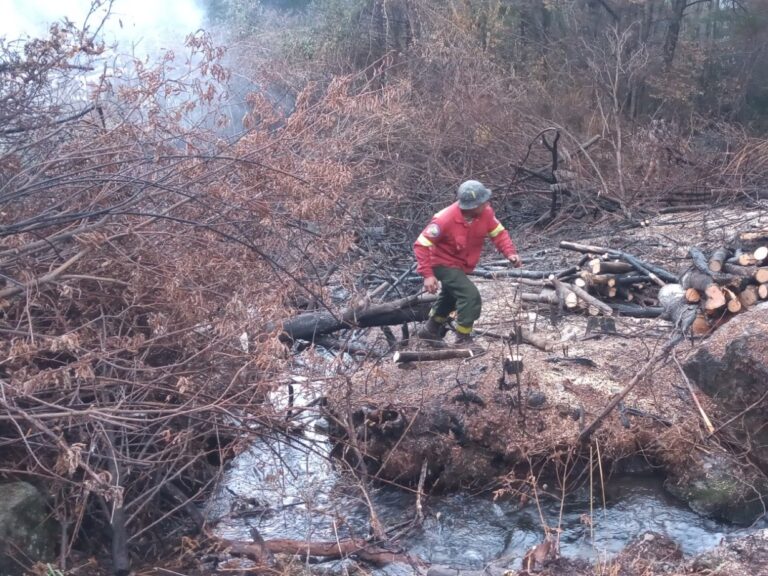 Chubut terminó de ejecutar el Plan Operativo Invernal para la prevención de incendios forestales