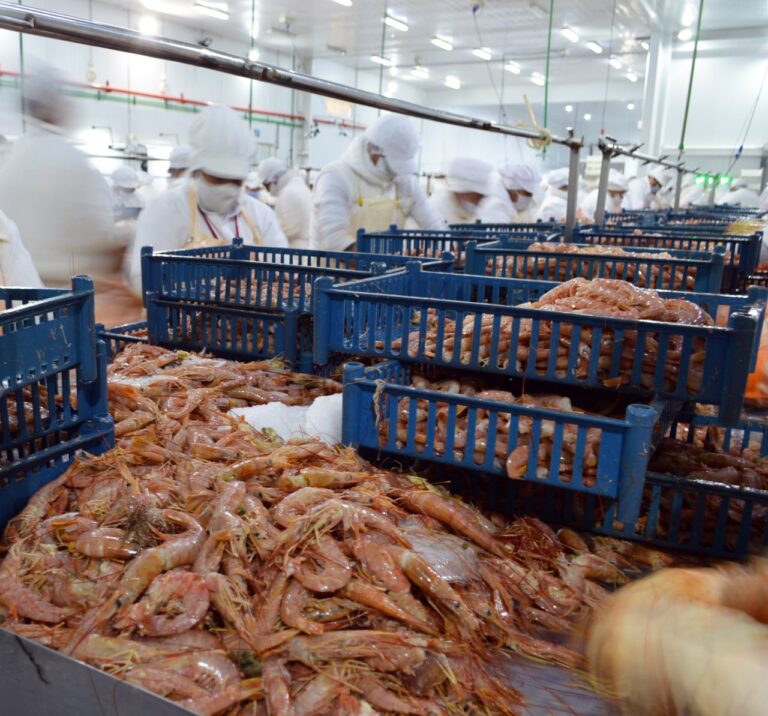 Se redujeron los derechos de exportación para la Pesca