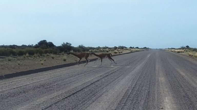 Defensa Civil informó el corte de rutas de ripio en el ingreso a la Península