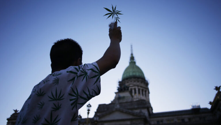 Organizaciones cannábicas realizan la Marcha Nacional de la Marihuana