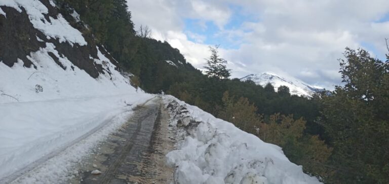 Chubut: Vialidad Provincial trabaja en la Ruta Provincial Nº 71 tras un alud de nieve