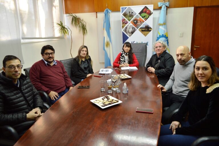 Creatividad e innovación será el potencial de Chubut para la “Feria Puro Diseño 2022”