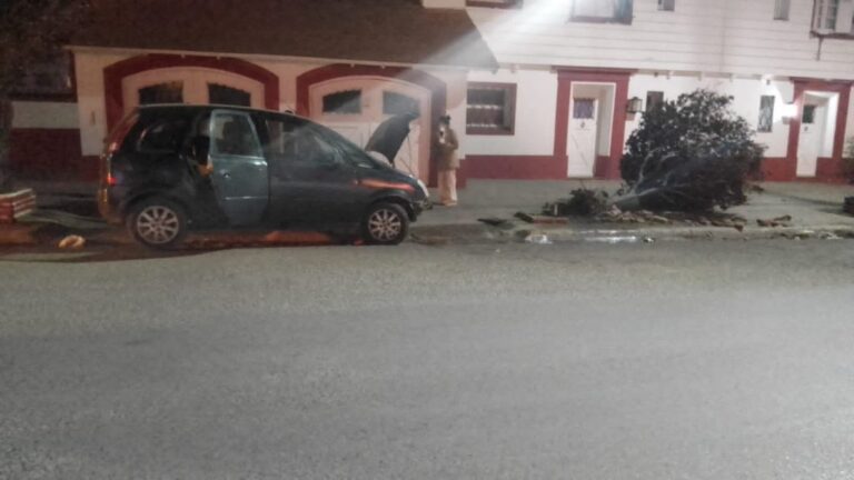 Conducía en estado de ebriedad y chocó contra un árbol