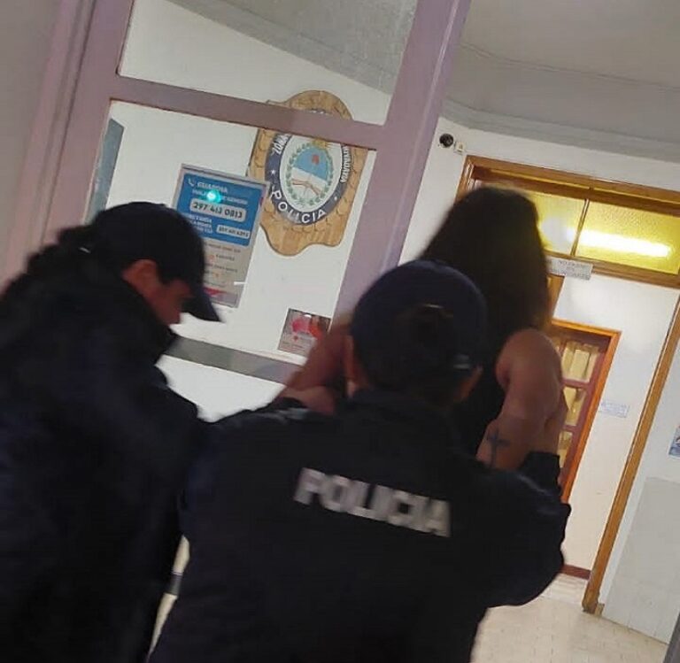 Una mujer protagonizó una persecución policial y fue detenida
