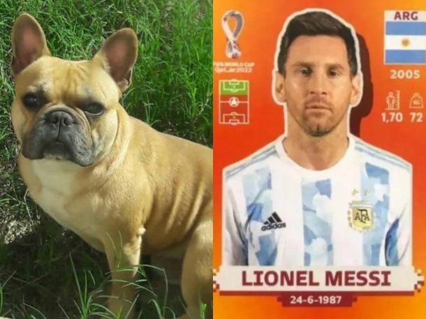 Un nene ofreció la figurita de Lionel Messi como recompensa para recuperar a un perro robado