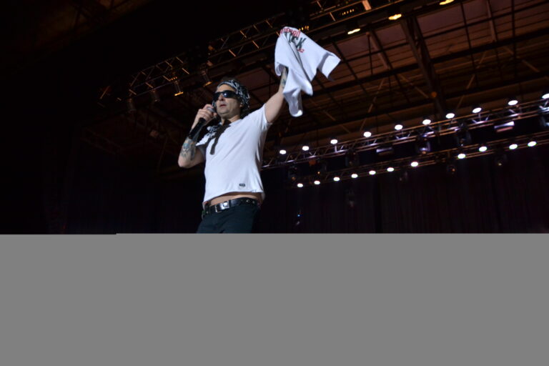 Los fanáticos vivieron a pleno una nueva edición del Comodoro Rock