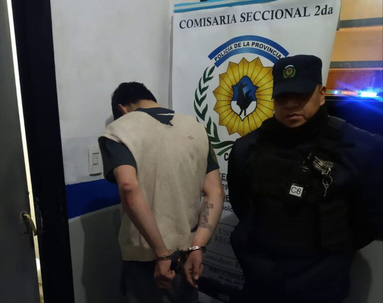 Robó un auto, conducía en estado de ebriedad y terminó detenido