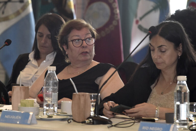 Chubut participó de nueva reunión del Consejo Federal de Salud en Ushuaia