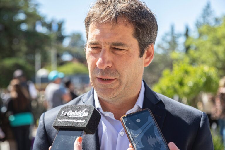 Luque: “No necesito ley de lemas, no creo en ley de lemas y no apoyaré la ley de lemas”