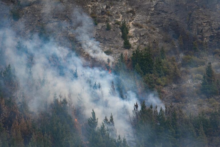Luego de intensas jornadas de trabajo, lograron controlar el incendio en el Parque Nacional Los Alerces