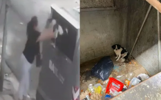 Indignante: detectaron a una mujer tirando un perrito a la basura