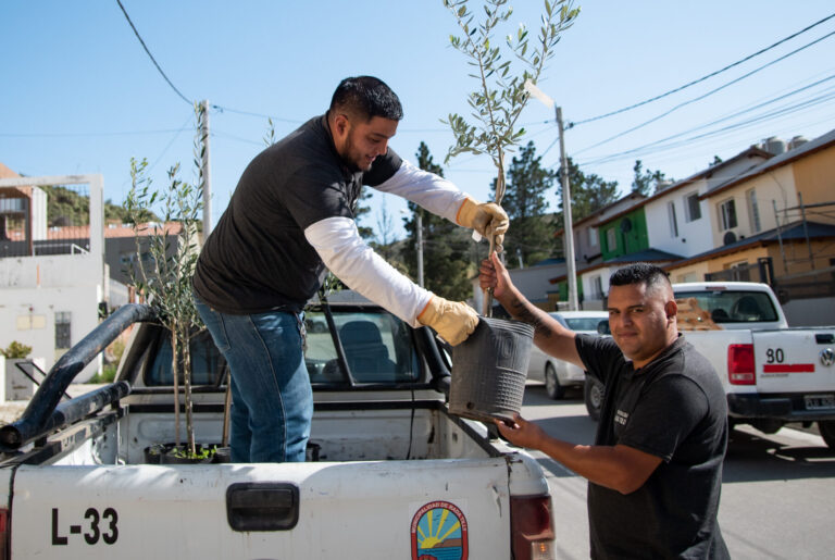 «Arbolando Rada Tilly» llega al barrio Tierra Joven