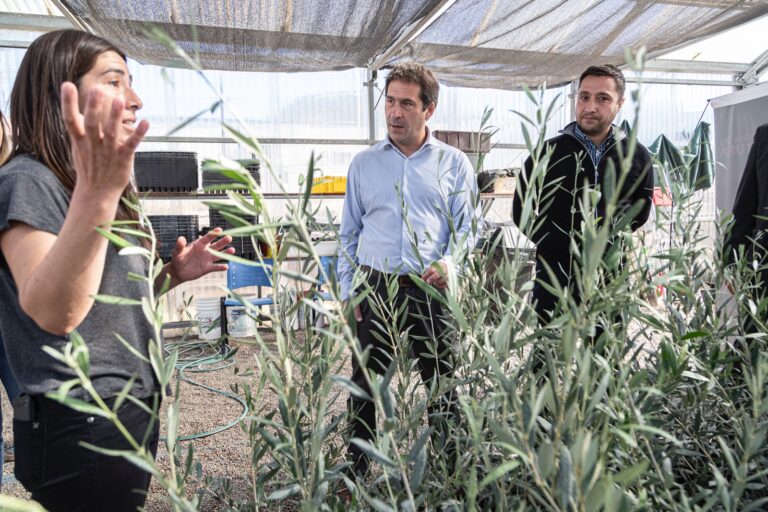 Luque: “Tenemos un potencial enorme en materia olivícola”