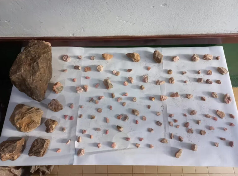 Rada Tilly: Incautaron ostras fósiles de más 12 millones de años