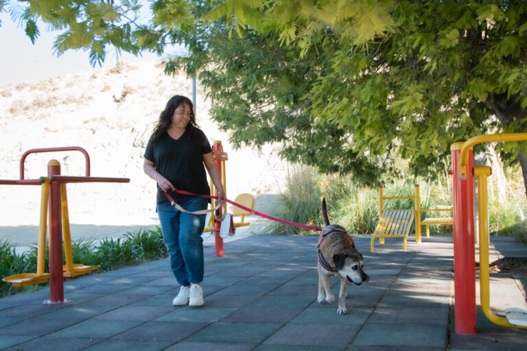 «En Rada Tilly habían muchos perros en la calle y eso disminuyó»