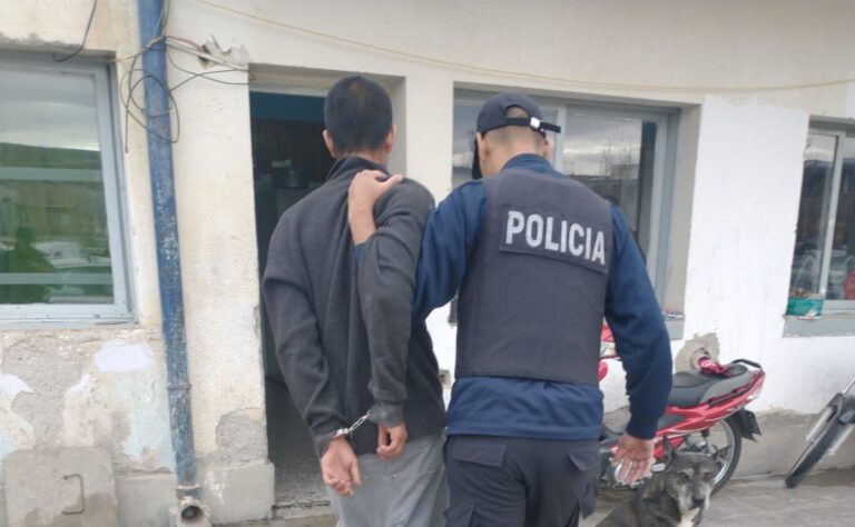 Una pareja fue detenida después de efectuar disparos y amenazar a los efectivos con un cuchillo