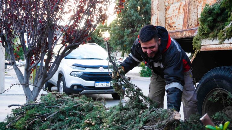 Temporada de poda: Cómo es el servicio en Rada Tilly