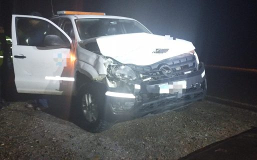 Una camioneta impactó contra un caballo en Ruta 26