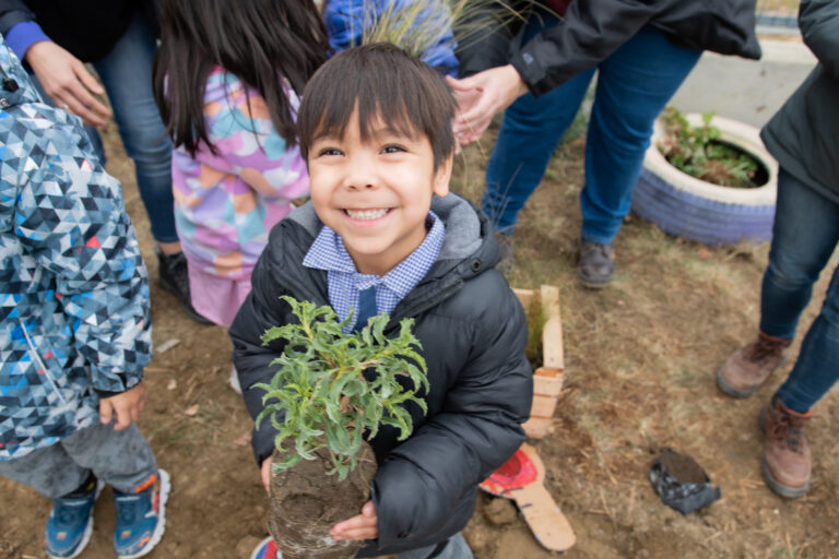 Rada Tilly promueve la plantación de especies nativas en las escuelas