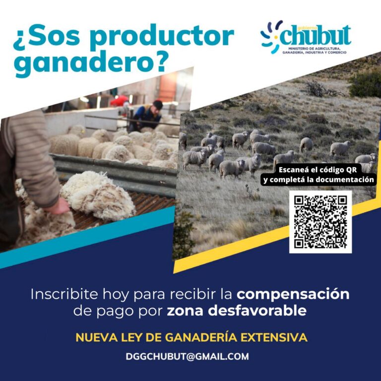 Ley de Ganadería Extensiva: Productores chubutenses ya pueden solicitar la compensación por zona desfavorable