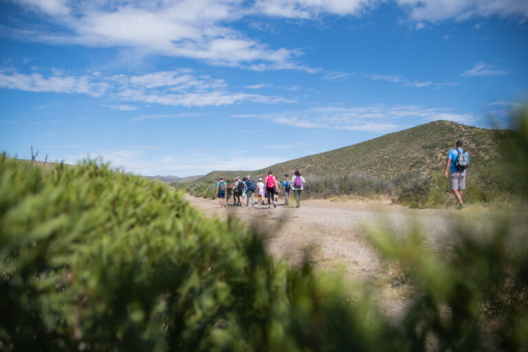 Tres jornadas para vivir la naturaleza en Rada Tilly