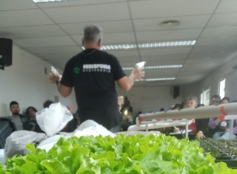 Taller el ABC de la hidroponía productiva