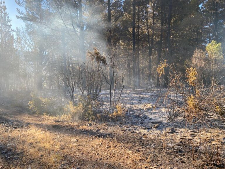 El Gobierno del Chubut controló el incendio en Epuyén